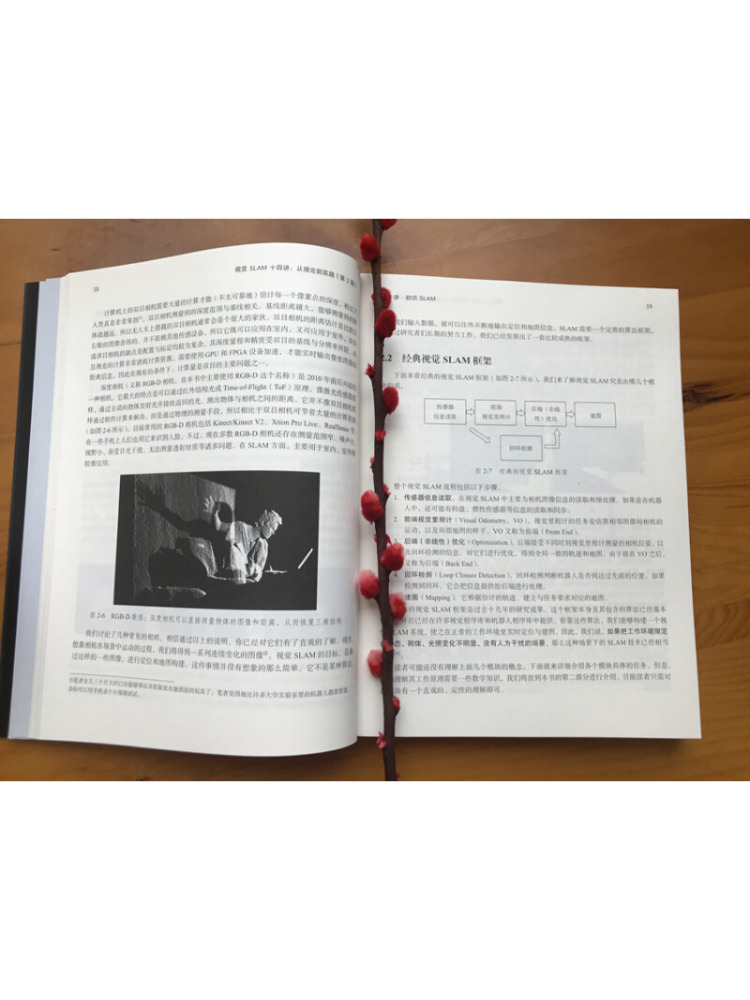 Libro-Winshare Quatorze lezion - Industrial Visual recensione e prezzo